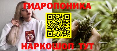 ешки Чебоксары